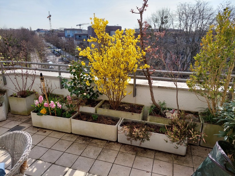 Mit dem Samsung Galaxy A52 geschossene Fotos