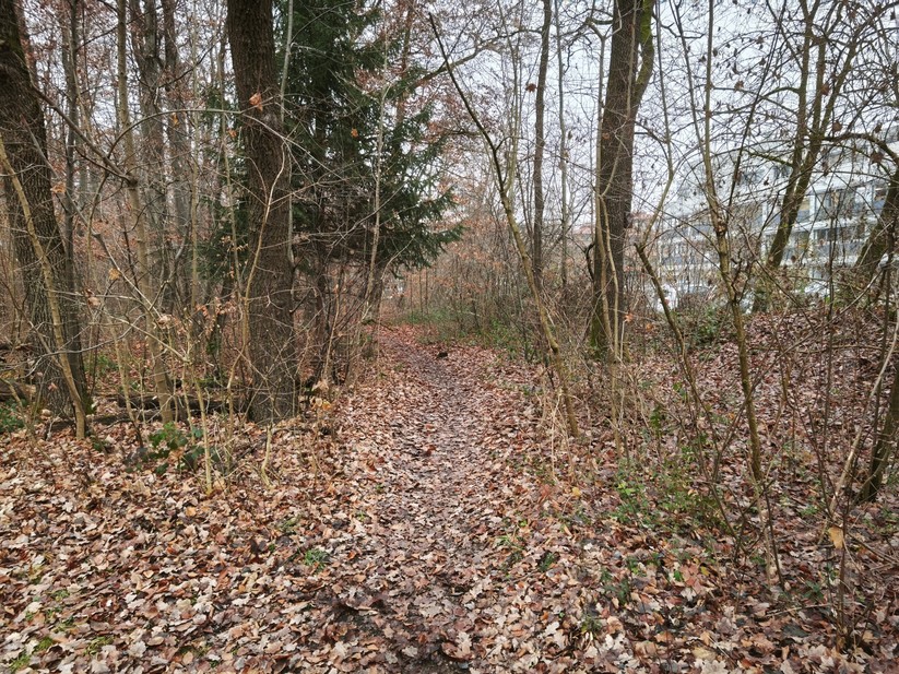 Xiaomi 15T - Originalaufnahmen