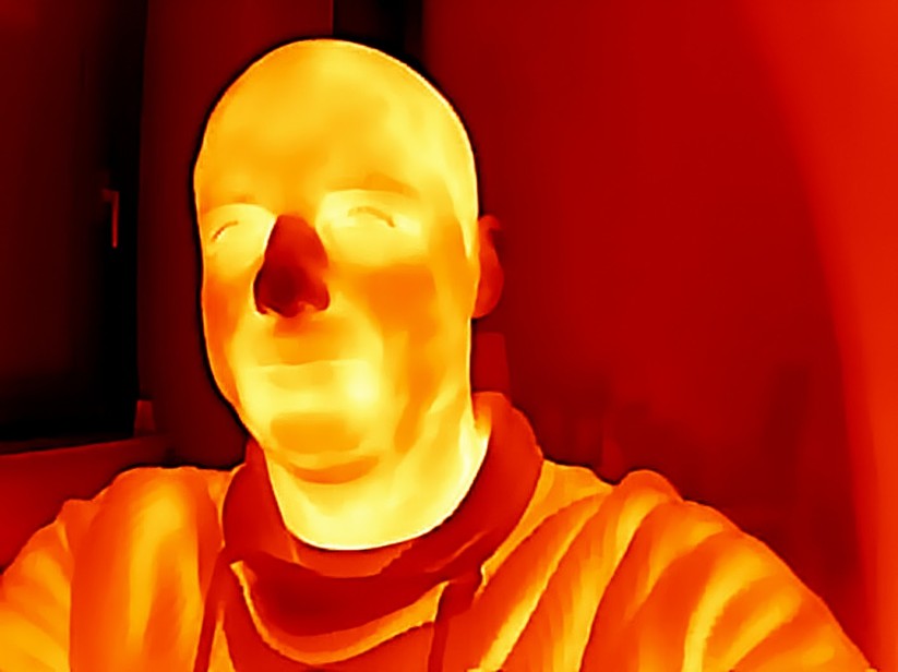 Thermal Master P2 