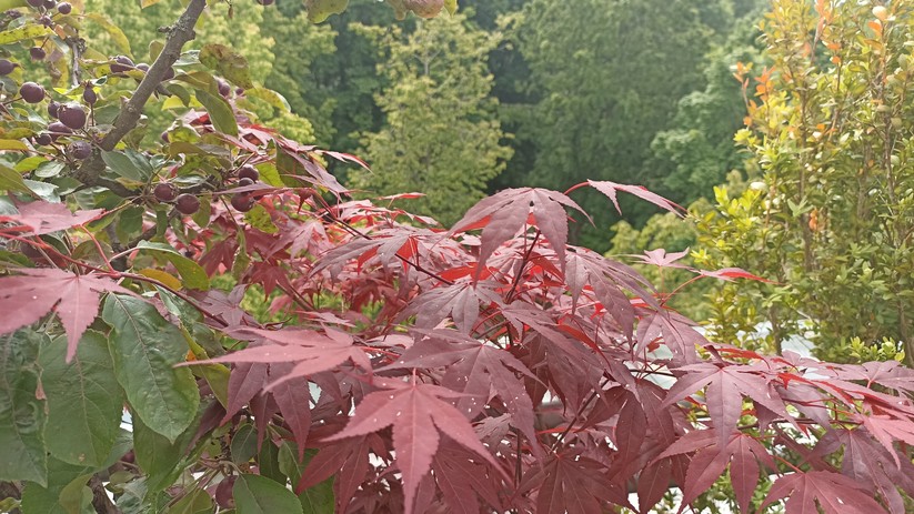 Fotos des Xiaomi Redmi Note 10S