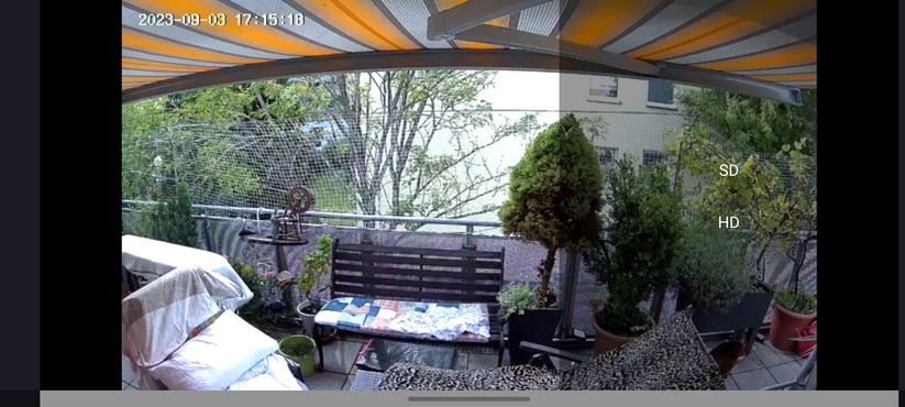 Visortech Floodlight Cam ZX-5326: Einrichtung und App-Einstellungen