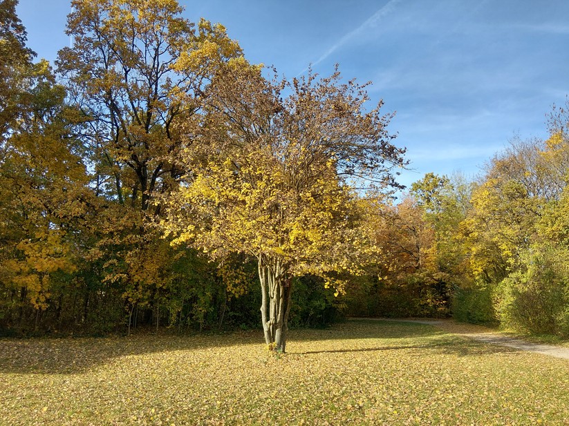 Samsung Galaxy Xcover 7 Pro – Originalaufnahmen