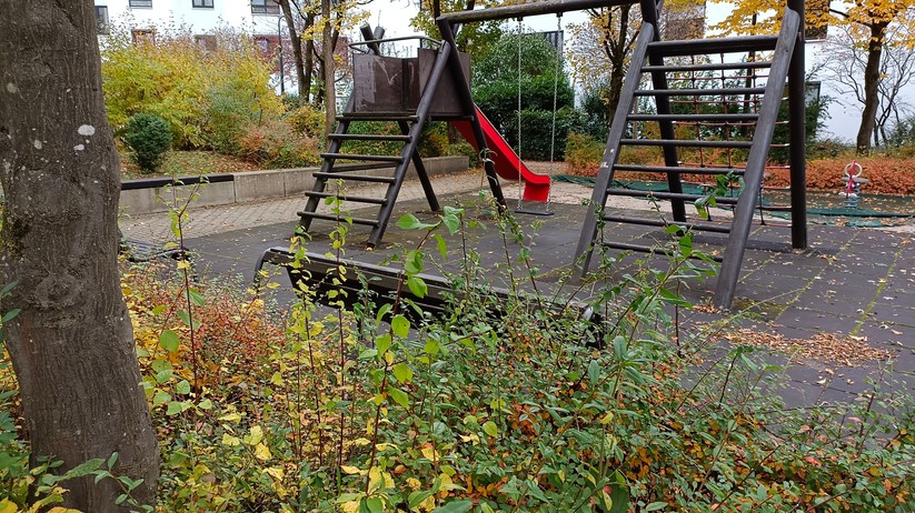 Fotos mit dem Vivo Y72 5G