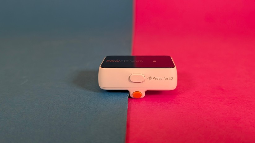 Pawfit 3 – Bilderstrecke