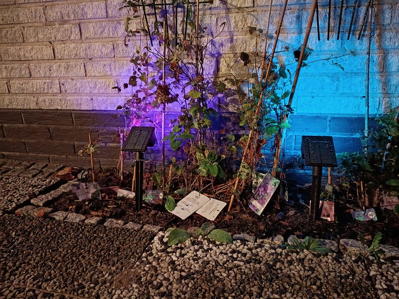 Motorola Moto G56 5G – Originalaufnahmen