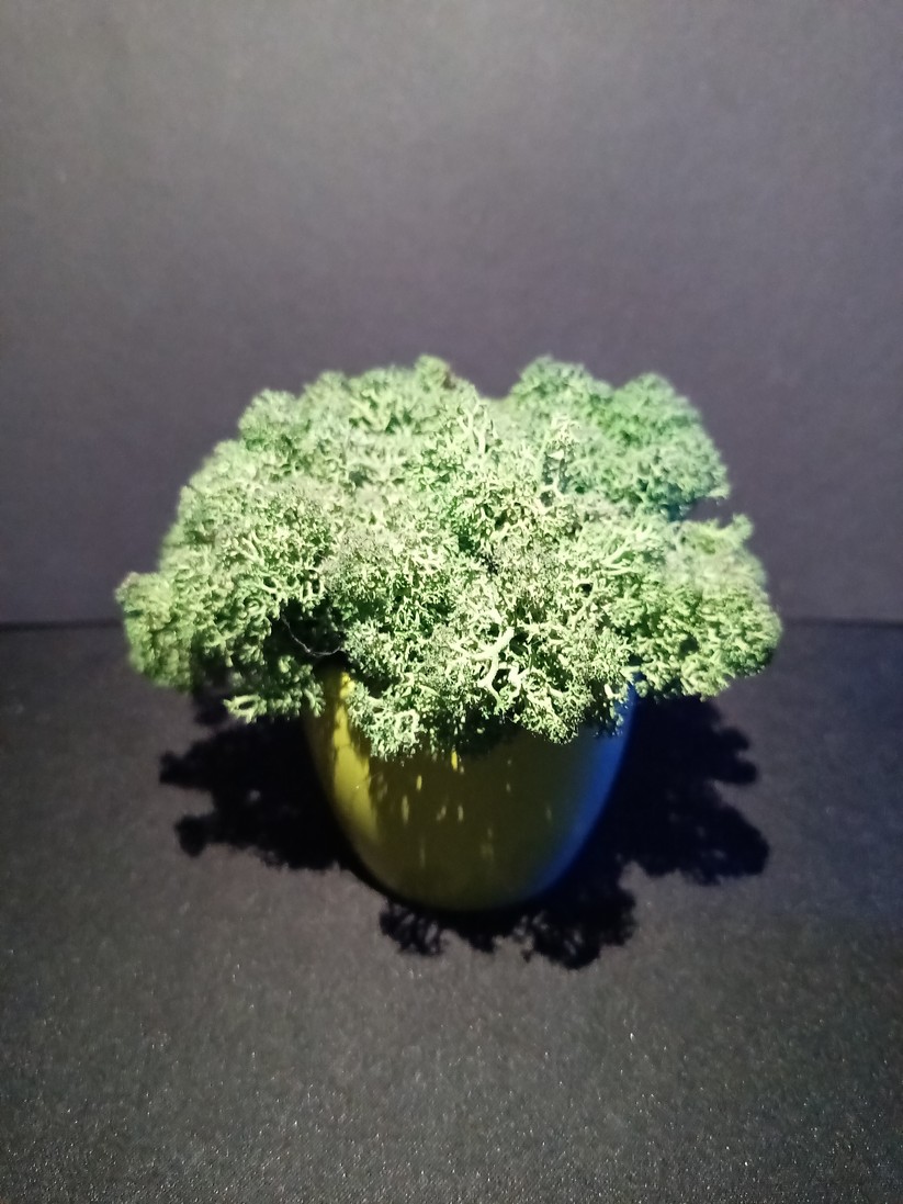 Blackview A200 Pro - Originalaufnahmen