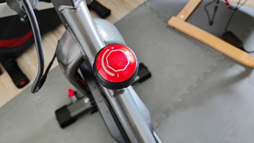 Schwinn 800IC
