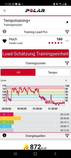 Polar Flow - Vantage M2