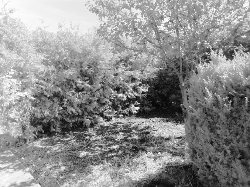 Oukitel WP100 Titan - Originalaufnahmen 