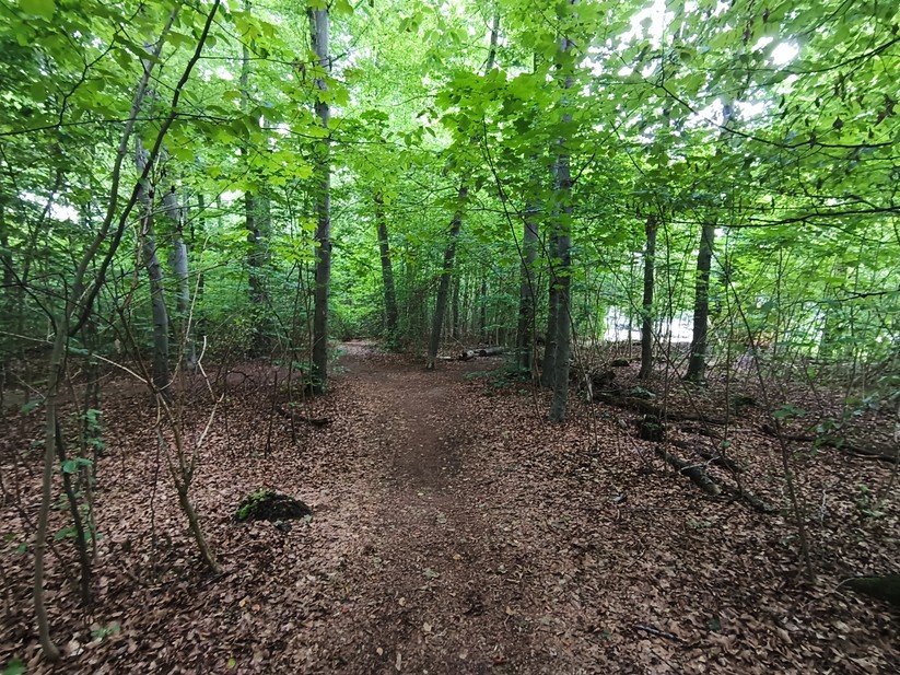 Ulefone Armor 34 Pro - Originalaufnahmen