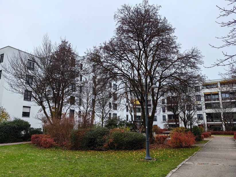 Huawei Mate 50 Pro - Originalaufnahmen