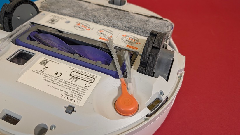 Narwal Flow – Bilderstrecke