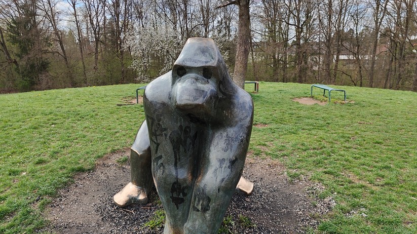 Realme GT 2 Pro - Originalaufnahmen 