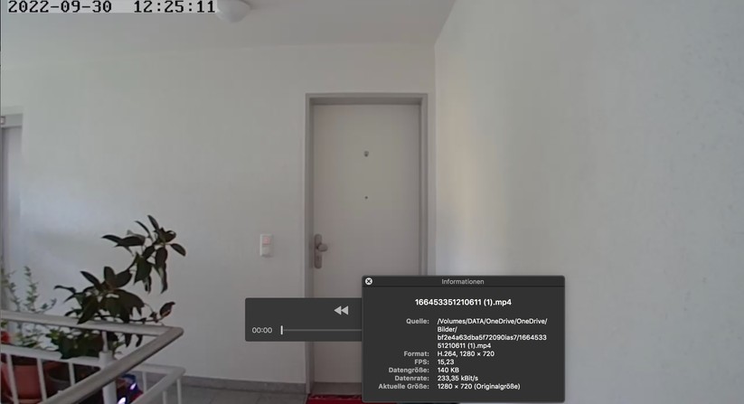 Digitaler Türspion Tmezon MZ-DV11 wird über die Tuya-App gesteuert.