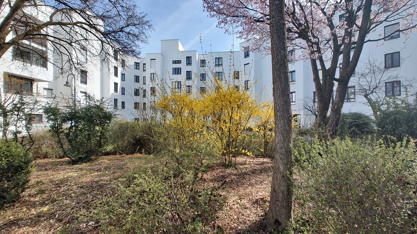 Motorola Edge 30 Pro - Originalaufnahmen