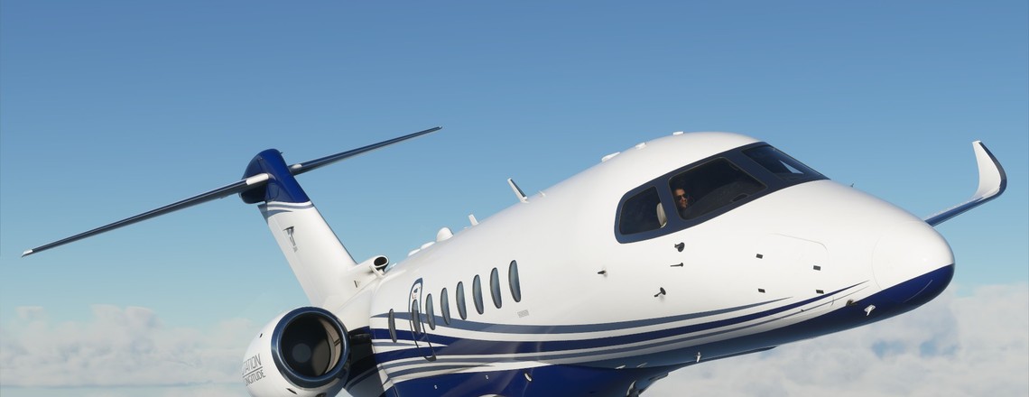 Microsoft Flight Simulator
