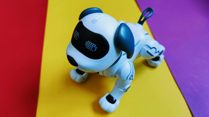 RC Roboter