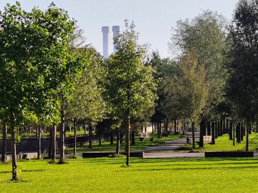 Realme 14 Pro+ 5G - Originalaufnahmen