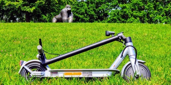 E-Scooter ESA 1919 für 300 Euro im Test: günstig & trotzdem gut