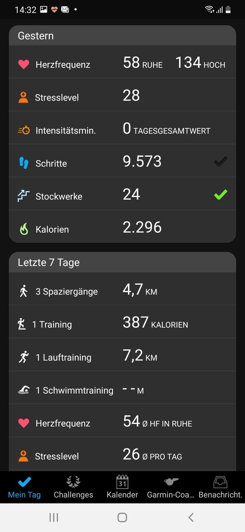 Garmin Connect Lily 