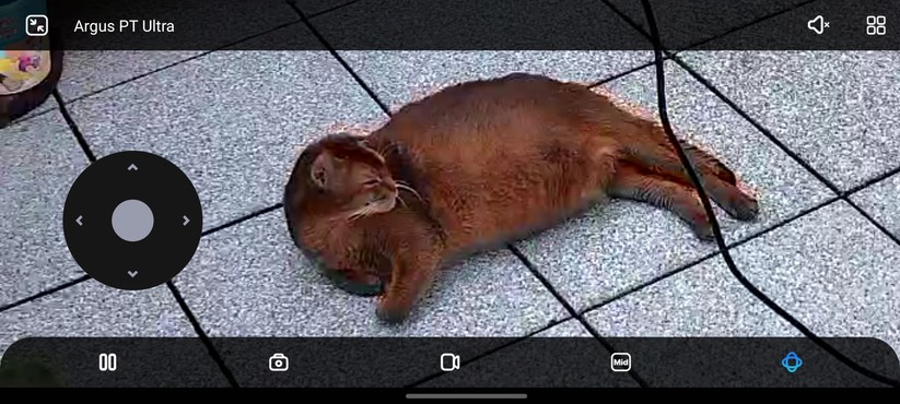 Reolink Argus PT Ultra: Dank hoher Auflösung Reserven beim Zoom.