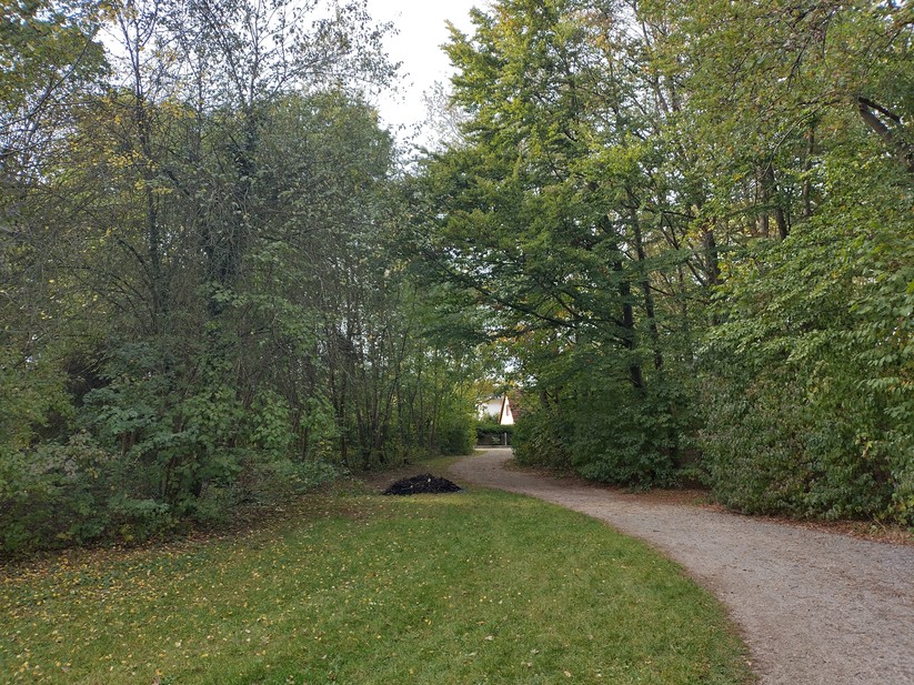 Nokia XR21 - Originalaufnahmen 