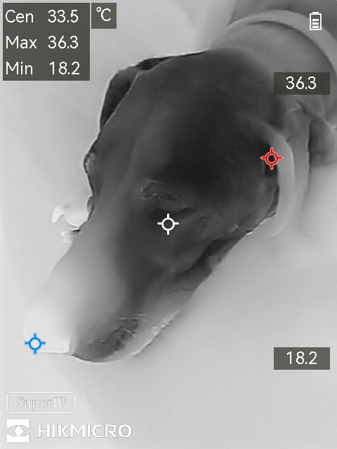 Hikmicro Minix Screenshots