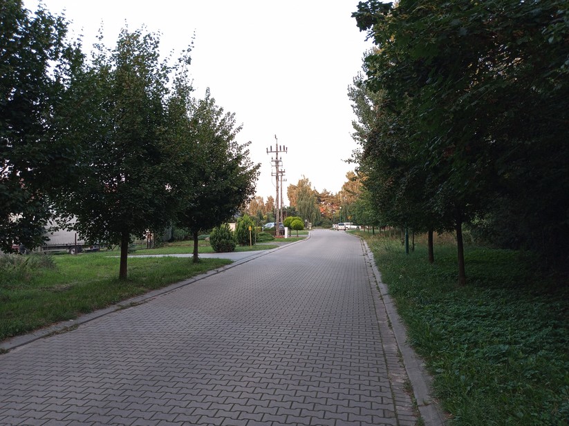 Doro 8020
