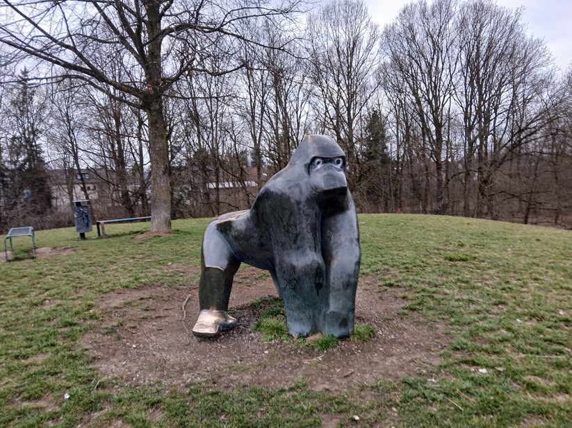 Samsung Galaxy Xcover 7 - Originalaufnahmen 