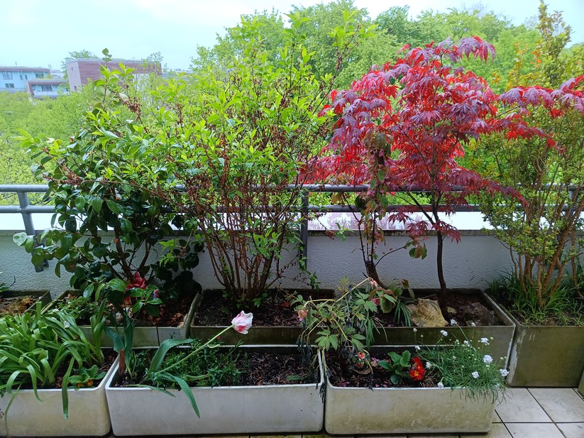 Unihertz Luna - Originalaufnahmen 