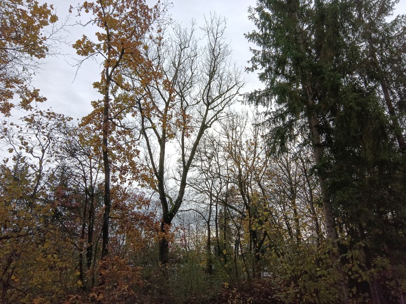 Alldocube iPlay 50 Mini Pro 