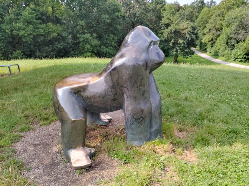 T Phone 2 Pro - Originalaufnahmen