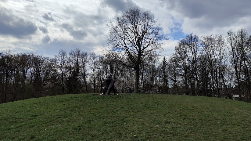 Realme GT 2 Pro - Originalaufnahmen 