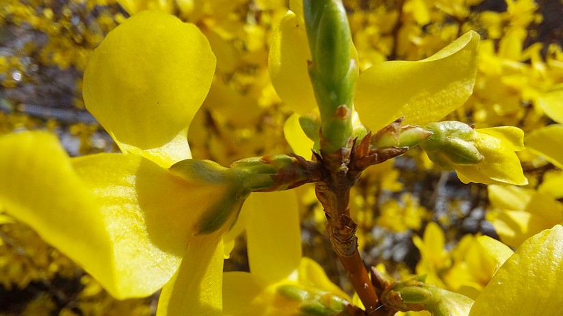 Mit dem Samsung Galaxy A52 geschossene Fotos