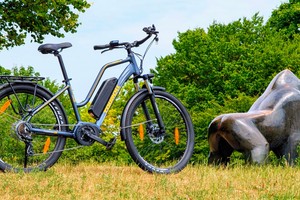 E-Bike mit Mittelmotor für 900 Euro: Preis-Leistungs-Wunder Touroll MA2 im Test