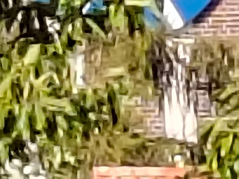 Realme 14 Pro+ 5G - Originalaufnahmen