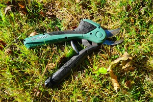 Akku-Astschere Bosch Easyprune im Test: sicher, kompakt, kraftlos
