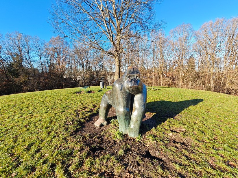 Poco F8 Pro - Originalaufnahmen 