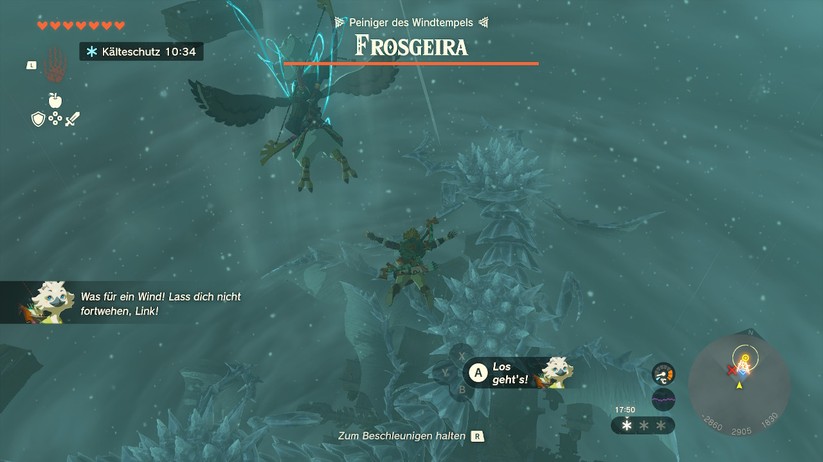  Tears of the Kingdom (Switch)
