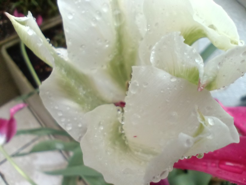 Unihertz Luna - Originalaufnahmen 