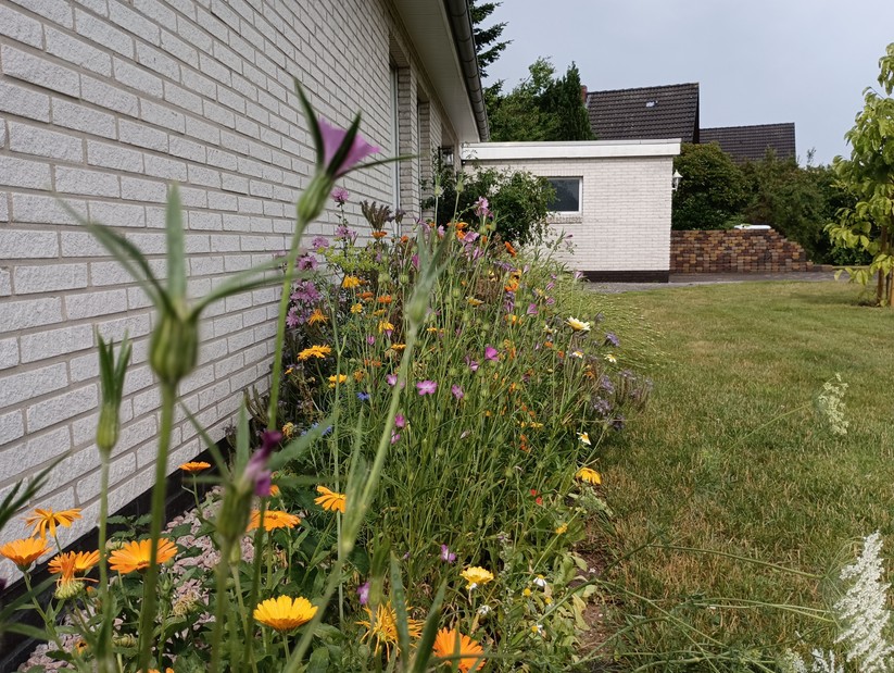 Xiaomi Redmi Note 11S 5G