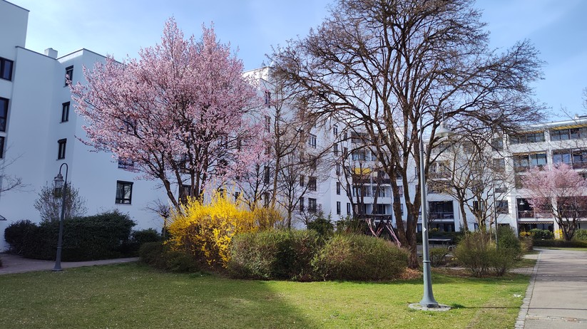 Motorola Edge 30 Pro - Originalaufnahmen