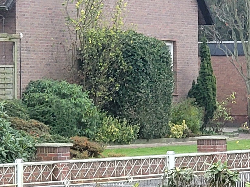 Samsung Galaxy Z Fold 3 5G