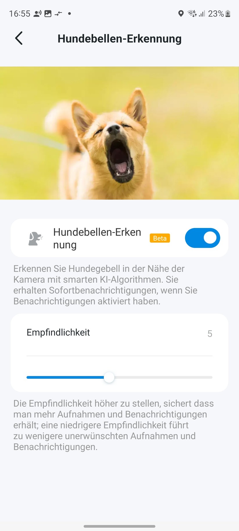 TP-Link Tapo C225: Einrichtung und Einstellungen