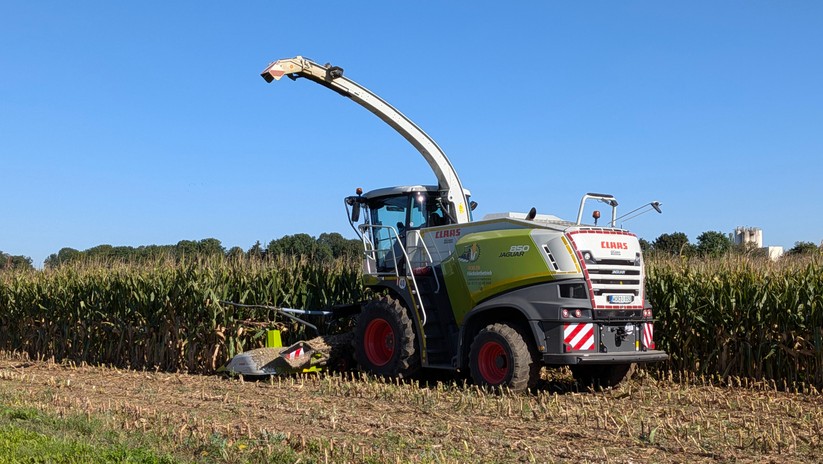 Google Pixel 10 Fotos