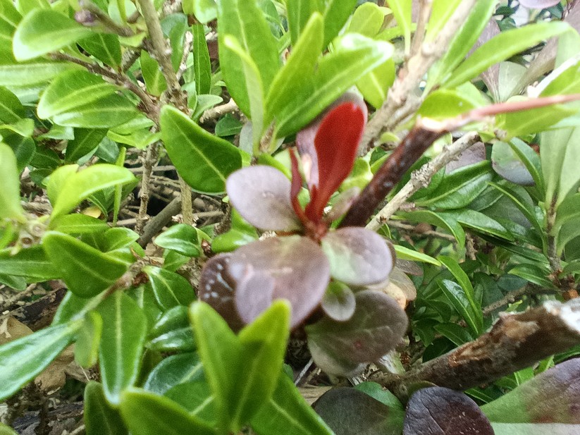 Blackview BV 9200 - Originalaufnahmen 