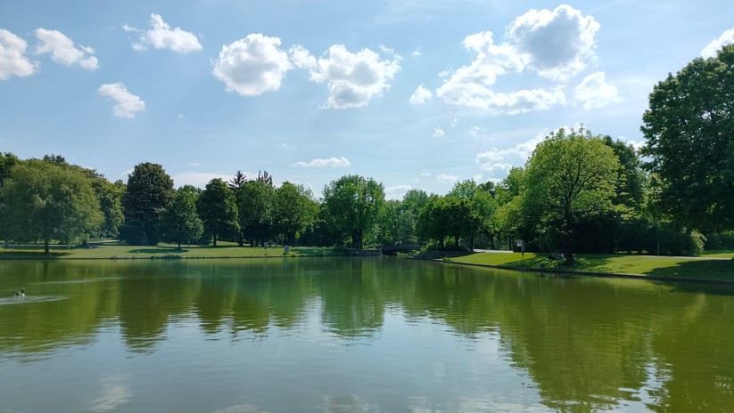 Realme 9 - Originalaufnahmen 