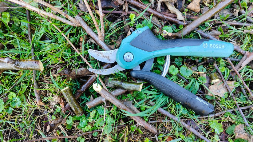 Bosch Easyprune