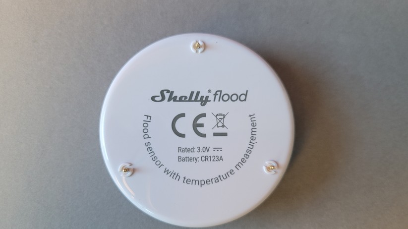 Shelly Flood