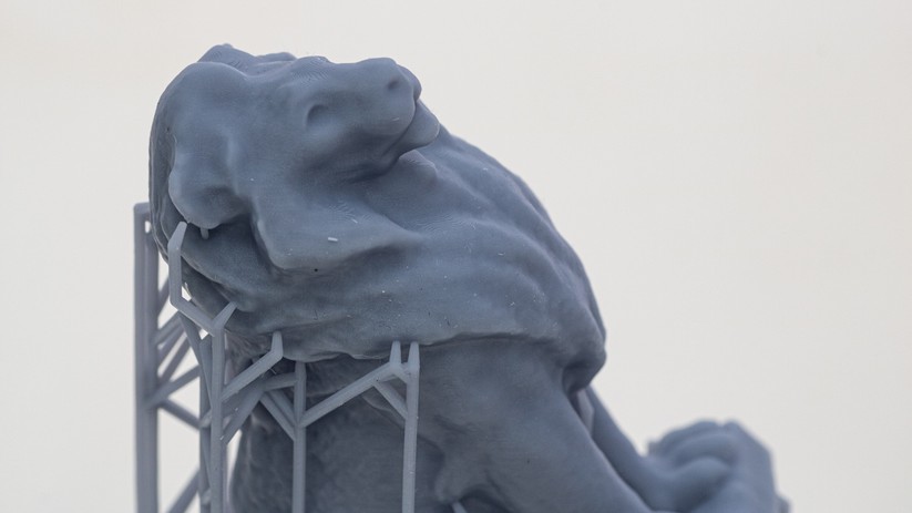 Anycubic Water-Wash